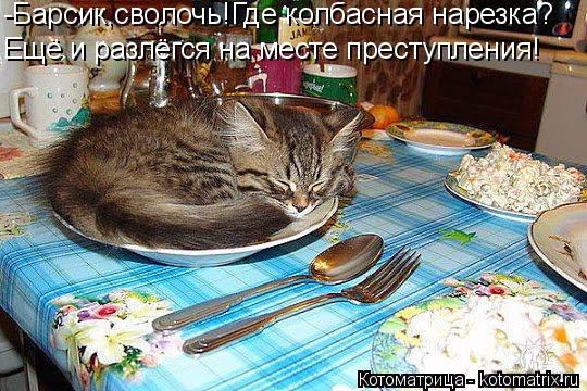 Котоматрица: -Барсик,сволочь!Где колбасная нарезка? Ещё и разлёгся на месте преступления!