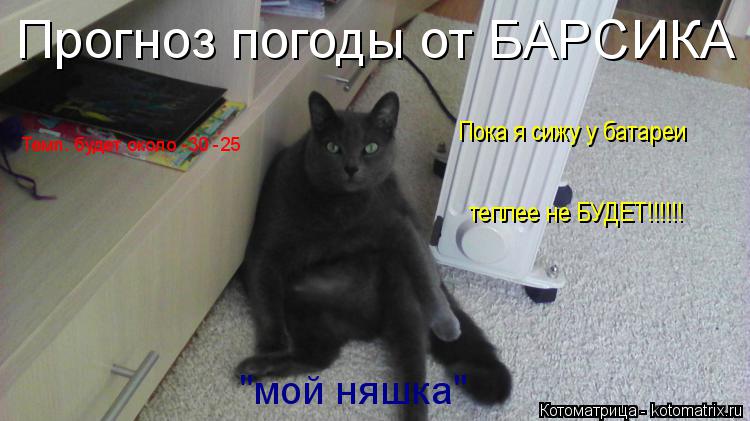 Котоматрица: Прогноз погоды от БАРСИКА Темп. будет около -30 -25 Пока я сижу у батареи теплее не БУДЕТ!!!!!! "мой няшка"