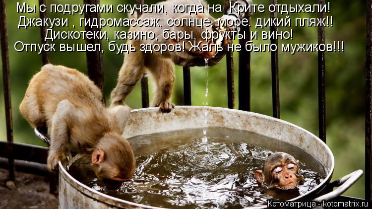 Котоматрица: Джакузи , гидромассаж, солнце, море. дикий пляж!! Дискотеки, казино, бары, фрукты и вино! Отпуск вышел, будь здоров! Жаль не было мужиков!!! Мы с 