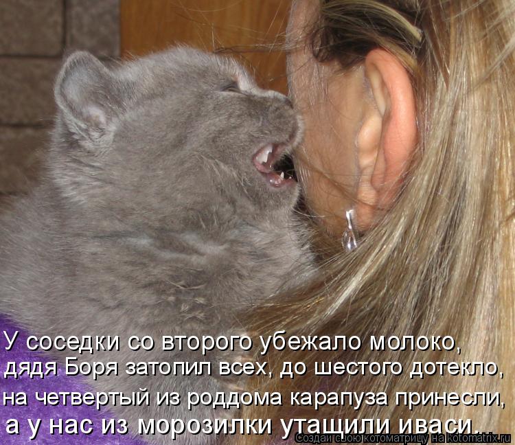 Котоматрица: У соседки со второго убежало молоко, а у нас из морозилки утащили иваси. дядя Боря затопил всех, до шестого дотекло, на четвертый из роддома 