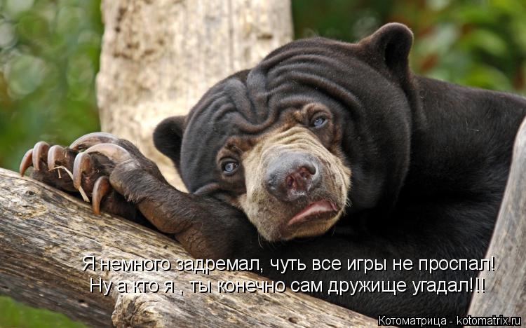 Котоматрица: Я немного задремал, чуть все игры не проспал! Ну а кто я , ты конечно сам дружище угадал!!!