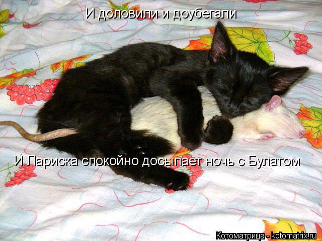 И доловили и доубегали И Лариска спокойно досыпает ночь с Булатом... Котоматрица: И доловили и доубегали И Лариска спокойно досыпает ночь с Булатом