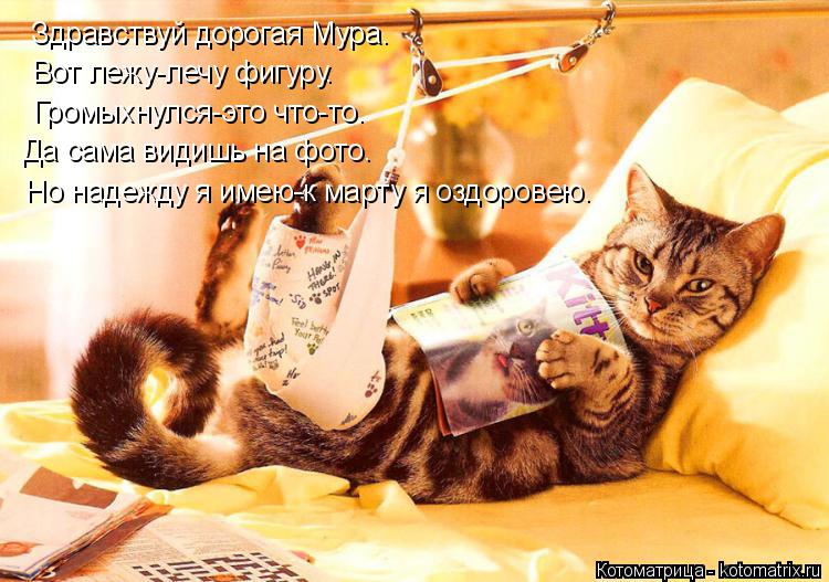 http://kotomatrix.ru/images/lolz/2014/02/11/kotomatritsa_Mh.jpg