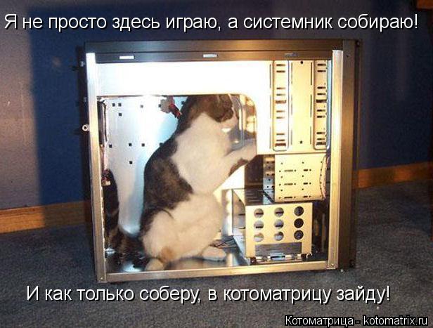 Котоматрица: И как только соберу, в котоматрицу зайду! Я не просто здесь играю, а системник собираю!