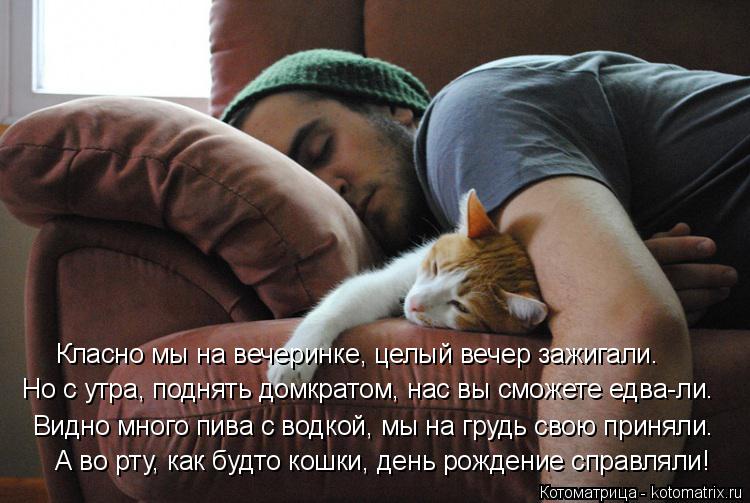 Котоматрица: А во рту, как будто кошки, день рождение справляли! Видно много пива с водкой, мы на грудь свою приняли. Но с утра, поднять домкратом, нас вы см