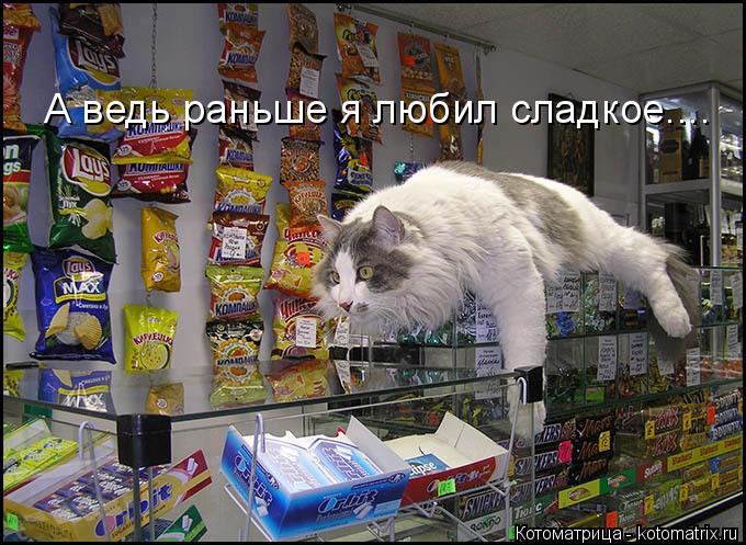 Котоматрица: А ведь раньше я любил сладкое....