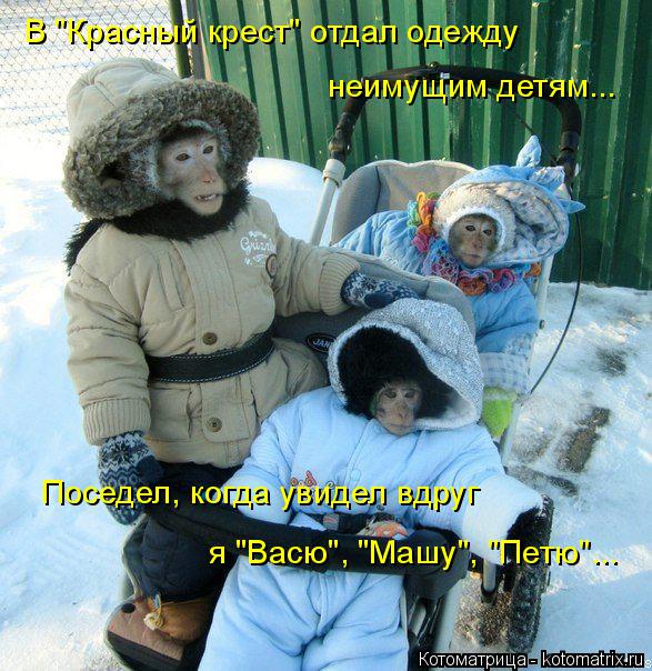 Котоматрица: В "Красный крест" отдал одежду неимущим детям... Поседел, когда увидел вдруг я "Васю", "Машу", "Петю"...