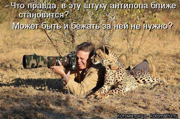 Котоматрица: - Что правда, в эту штуку антилопа ближе становится?  Может быть и бежать за ней не нужно?