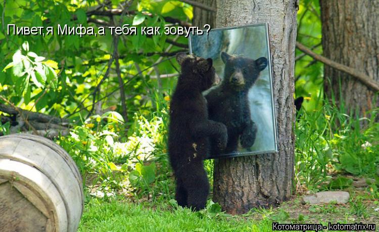 Котоматрица: Пивет,я Мифа,а тебя как зовуть?