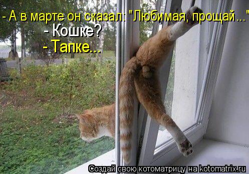 Котоматрица: - А в марте он сказал: "Любимая, прощай..." - Кошке? - Тапке...