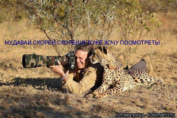 Котоматрица: НУ,ДАВАЙ,СКОРЕЙ,СКОРЕЙ!Я ТОЖЕ ХОЧУ ПОСМОТРЕТЬ!