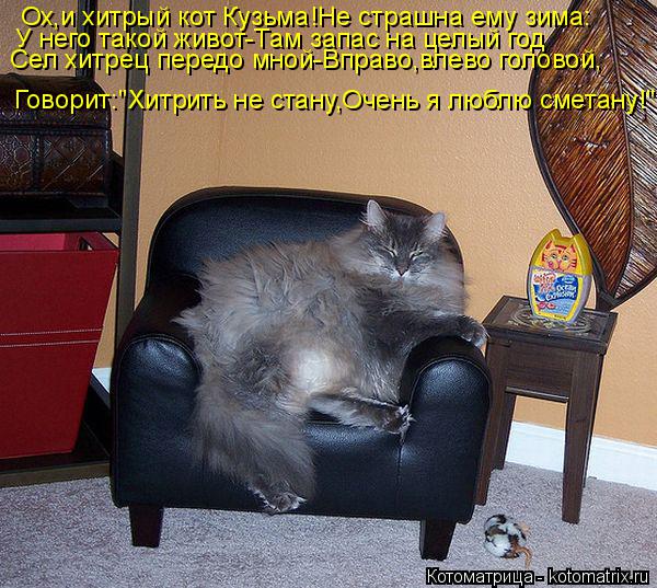 Котоматрица: Ох,и хитрый кот Кузьма!Не страшна ему зима: У него такой живот-Там запас на целый год Сел хитрец передо мной-Вправо,влево головой, Говорит:"Хи