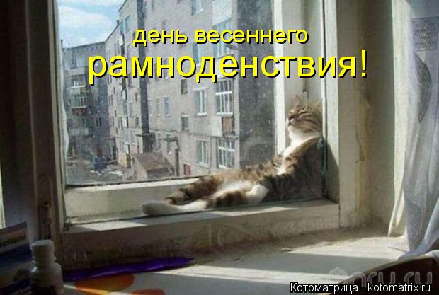 Котоматрица: день весеннего рамноденствия!