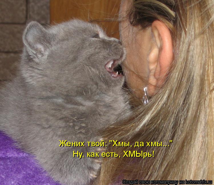 Котоматрица: Жених твой: "Хмы, да хмы..." Ну, как есть, ХМЫрь!