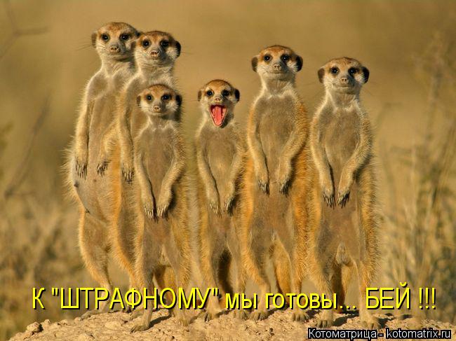 К "ШТРАФНОМУ" мы готовы... БЕЙ !!!... Котоматрица: К "ШТРАФНОМУ" мы готовы... БЕЙ !!!