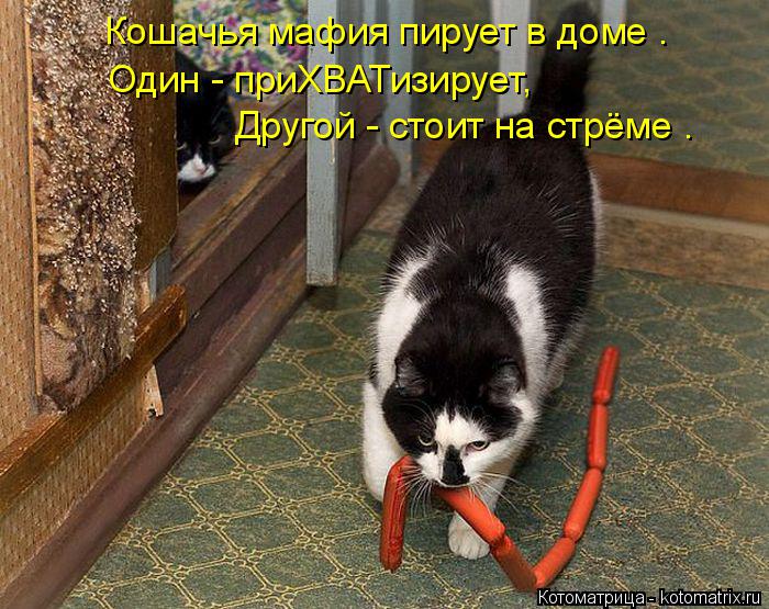 Котоматрица: Кошачья мафия пирует в доме . Один - приХВАТизирует,  Другой - стоит на стрёме .