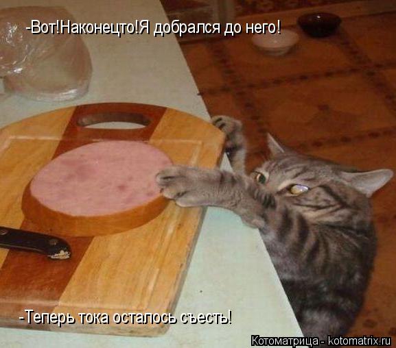 Котоматрица: -Вот!Наконецто!Я добрался до него! -Теперь тока осталось съесть!