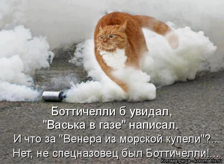 Котоматрица: Боттичелли б увидал, "Васька в газе" написал. Нет, не спецназовец был Боттичелли!… И что за "Венера из морской купели"?…