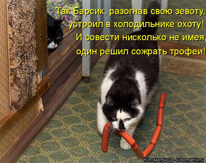 Котоматрица: Так Барсик, разогнав свою зевоту, устроил в холодильнике охоту! И совести нисколько не имея, один решил сожрать трофеи!