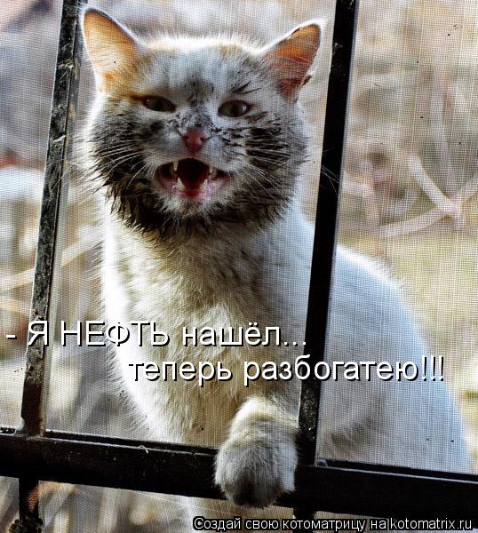 - Я НЕФТЬ нашёл... теперь разбогатею!!!... Котоматрица: - Я НЕФТЬ нашёл... теперь разбогатею!!!