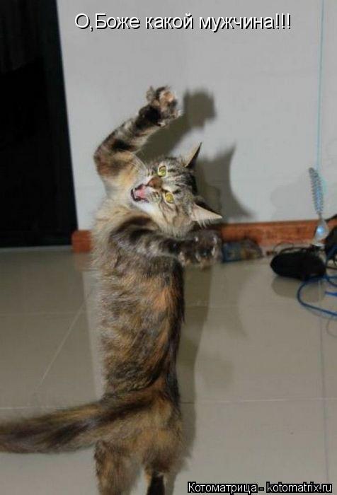 Котоматрица: О,Боже какой мужчина!!!