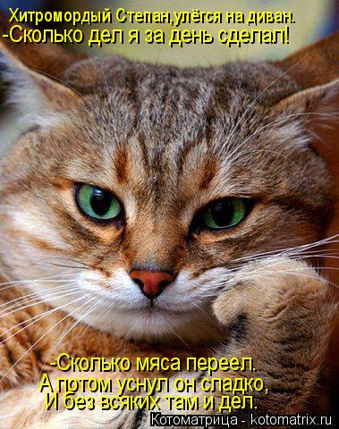 Котоматрица: -Сколько мяса переел. А потом уснул он сладко, Хитромордый Степан,улёгся на диван. -Сколько дел я за день сделал! И без всяких там и дел.