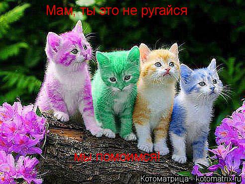 Котоматрица: Мам, ты это не ругайся мы помоимся!