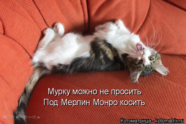 Котоматрица: Мурку можно не просить Под Мерлин Монро косить