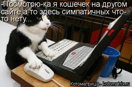 Котоматрица: -Посмотрю-ка я кошечек на другом сайте,а то здесь симпатичных что- то нету...