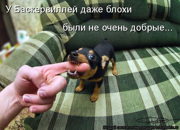 Котоматрица: У Баскервиллей даже блохи были не очень добрые...