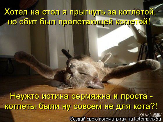 Котоматрица: Хотел на стол я прыгнуть за котлетой, но сбит был пролетающей кометой! Неужто истина сермяжна и проста - котлеты были ну совсем не для кота?!