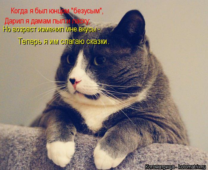 Котоматрица: Когда я был юнцом "безусым",  Дарил я дамам пыл и ласку;  Но возраст изменил мне вкусы -  Теперь я им слагаю сказки.