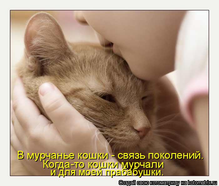 В мурчанье кошки - связь поколений. Когда-то кошки мурчали и для моей прабабушки.... Котоматрица: В мурчанье кошки - связь поколений. Когда-то кошки мурчали и для моей прабабушки.