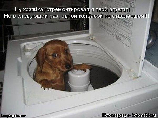 Котоматрица: Но в следующий раз, одной колбасой не отделаешся!!! Ну хозяйка, отремонтировал я твой агрегат!