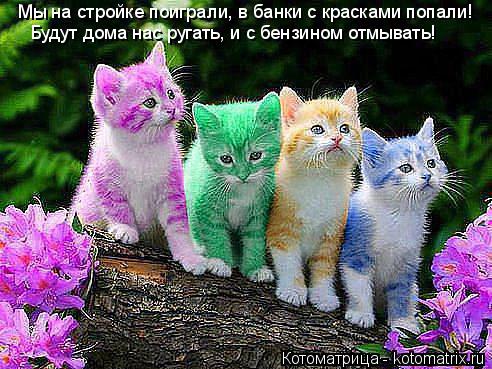 Котоматрица: Мы на стройке поиграли, в банки с красками попали! Будут дома нас ругать, и с бензином отмывать!