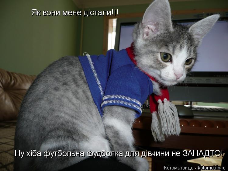 Котоматрица: Ну хіба футбольна фудболка для дівчини не ЗАНАДТО!   Ну хіба футбольна фудболка для дівчини не ЗАНАДТО! Як вони мене дістали!!!