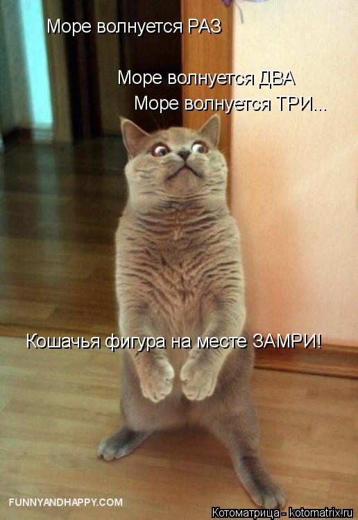 Котоматрица: Море волнуется РАЗ Море волнуется ДВА Море волнуется ТРИ... Кошачья фигура на месте ЗАМРИ!
