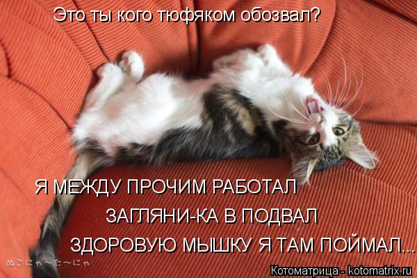 Это ты кого тюфяком обозвал? Я МЕЖДУ ПРОЧИМ РАБОТАЛ ЗАГЛЯНИ-КА В ПОДВАЛ ЗДОРОВУЮ МЫШКУ Я ТАМ ПОЙМАЛ..... Котоматрица: Это ты кого тюфяком обозвал? Я МЕЖДУ ПРОЧИМ РАБОТАЛ ЗАГЛЯНИ-КА В ПОДВАЛ ЗДОРОВУЮ МЫШКУ Я ТАМ ПОЙМАЛ...