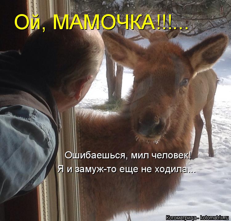 Котоматрица: Ой, МАМОЧКА!!!... Ошибаешься, мил человек! Я и замуж-то еще не ходила...