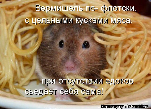 Котоматрица: Вермишель по- флотски, с цельными кусками мяса. при отсутствии едоков сьедает себя сама!