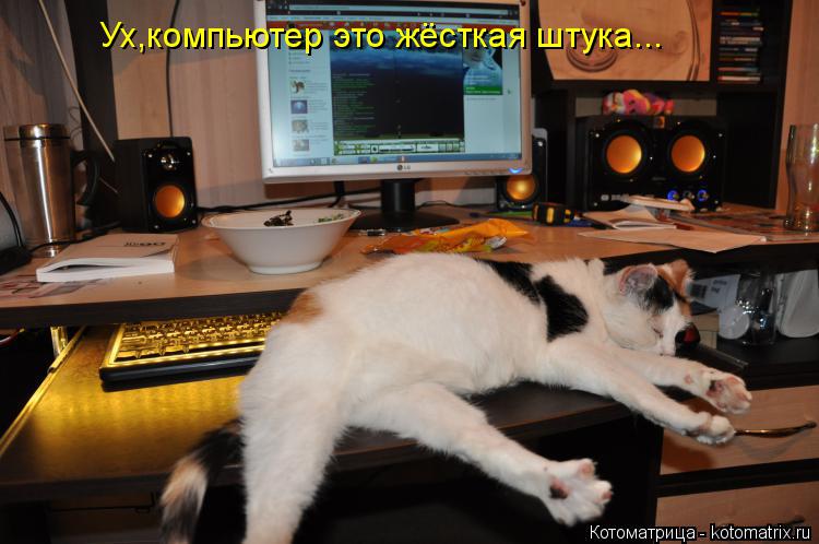 Котоматрица: Ух,компьютер это жёсткая штука...