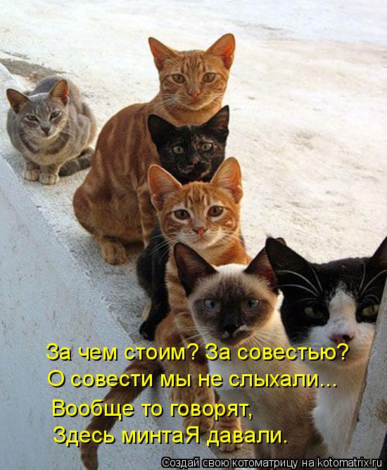 Котоматрица: За чем стоим? За совестью? О совести мы не слыхали... Вообще то говорят, Здесь минтаЯ давали.