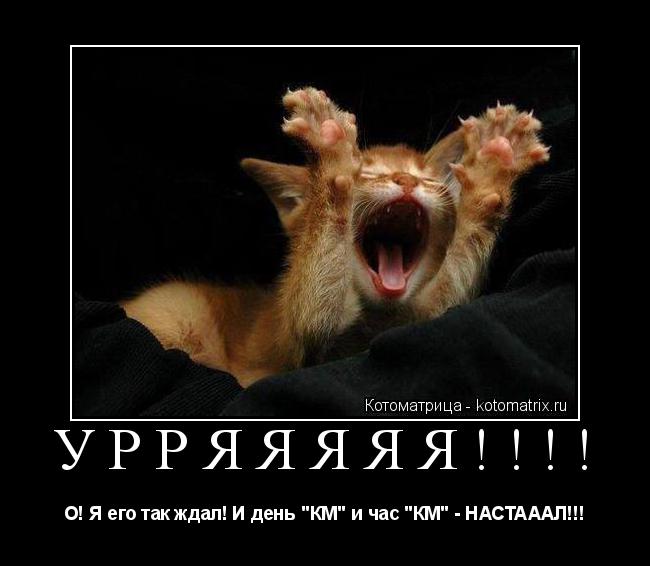 Котоматрица: УРРЯЯЯЯЯ!!!! О! Я его так ждал! И день "КМ" и час "КМ" - НАСТАААЛ!!!