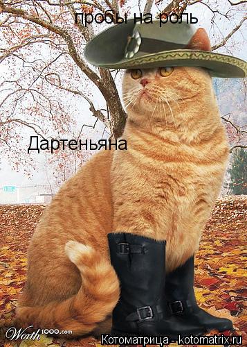 Котоматрица: пробы на роль  Дартеньяна