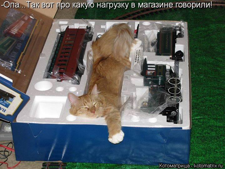 Котоматрица: -Опа...Так вот про какую нагрузку в магазине говорили!