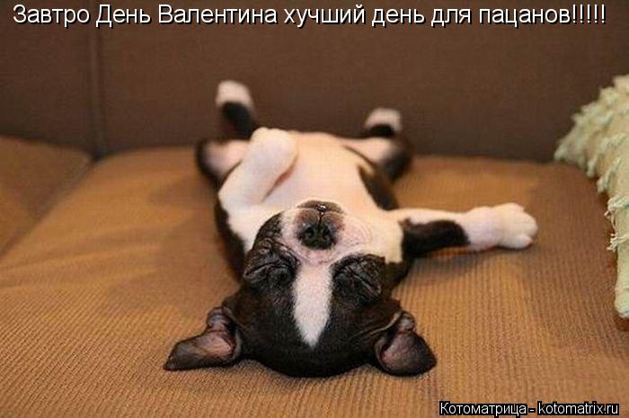 Котоматрица: Завтро День Валентина хучший день для пацанов Завтро День Валентина хучший день для пацанов!!!!!