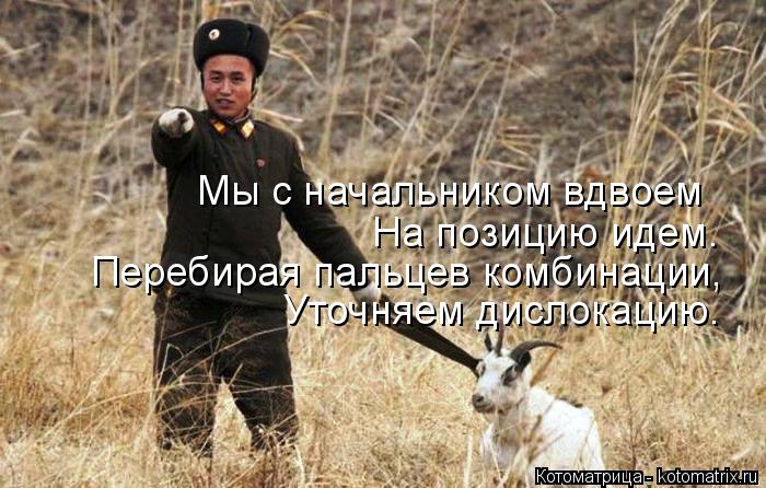 Котоматрица: Мы с начальником вдвоем На позицию идем. Перебирая пальцев комбинации, Уточняем дислокацию.