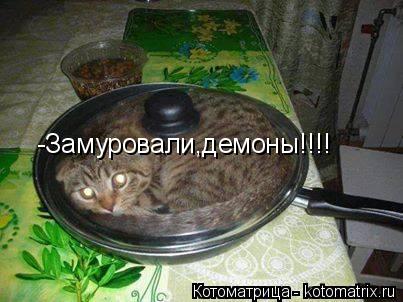 Котоматрица: -Замуровали,демоны!!!!