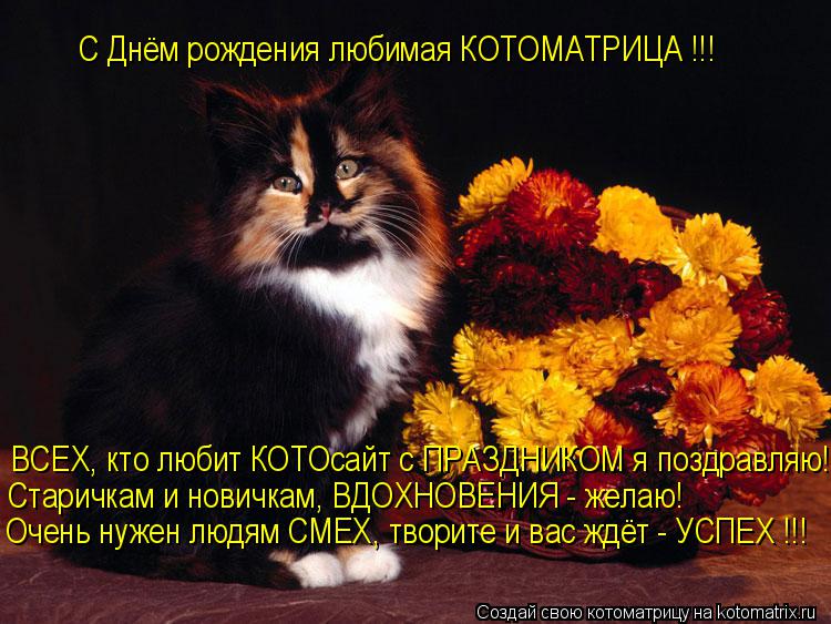 Котоматрица: ВСЕХ, кто любит КОТОсайт с ПРАЗДНИКОМ я поздравляю! Старичкам и новичкам, ВДОХНОВЕНИЯ - желаю! Очень нужен людям СМЕХ, творите и вас ждёт - УС