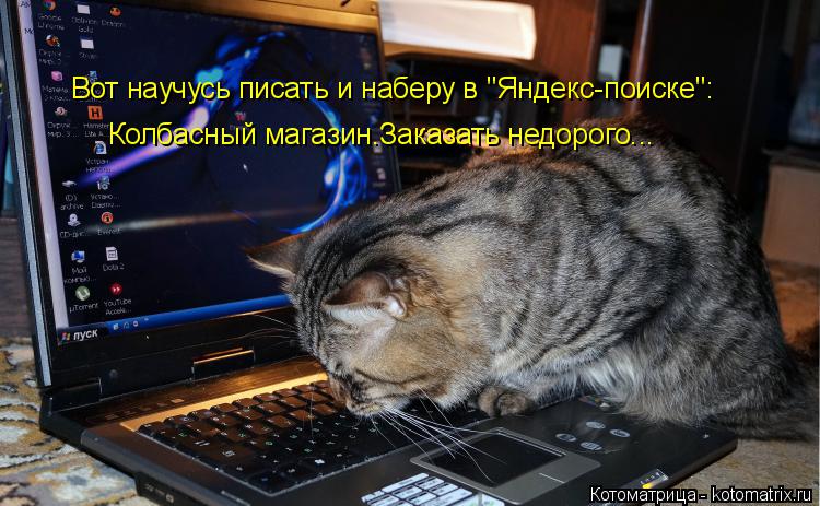 Котоматрица: Вот научусь писать и наберу в "Яндекс-поиске": Колбасный магазин.Заказать недорого...